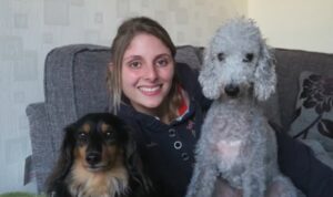 Bedlington Terrier rescue