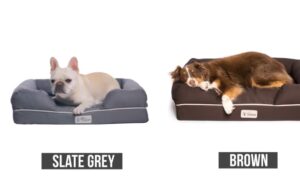 Dog Beds kmart