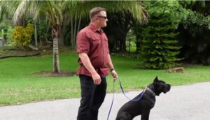 Walk Your Dog month