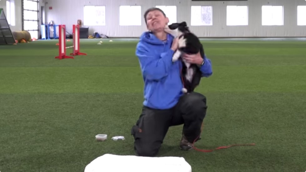 Hyperactive Dog symptoms