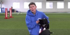 Hyperactive Dog meme