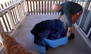 Dog Pool la marina