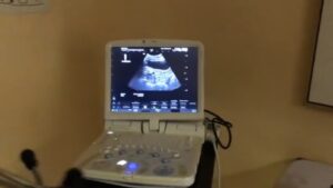 Ultrasound for Dogs machine