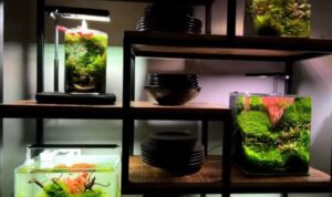 Aquarium juego