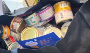 Cat food reviews uk