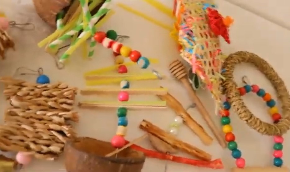 toys for birds for prey